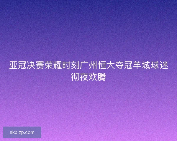 亚冠决赛荣耀时刻广州恒大夺冠羊城球迷彻夜欢腾